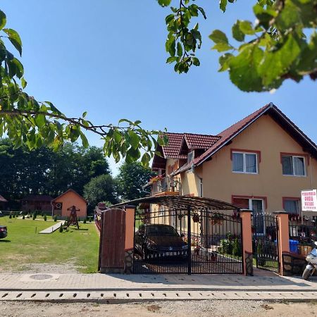 Pensiunea Sonia Cîrţişoara Buitenkant foto