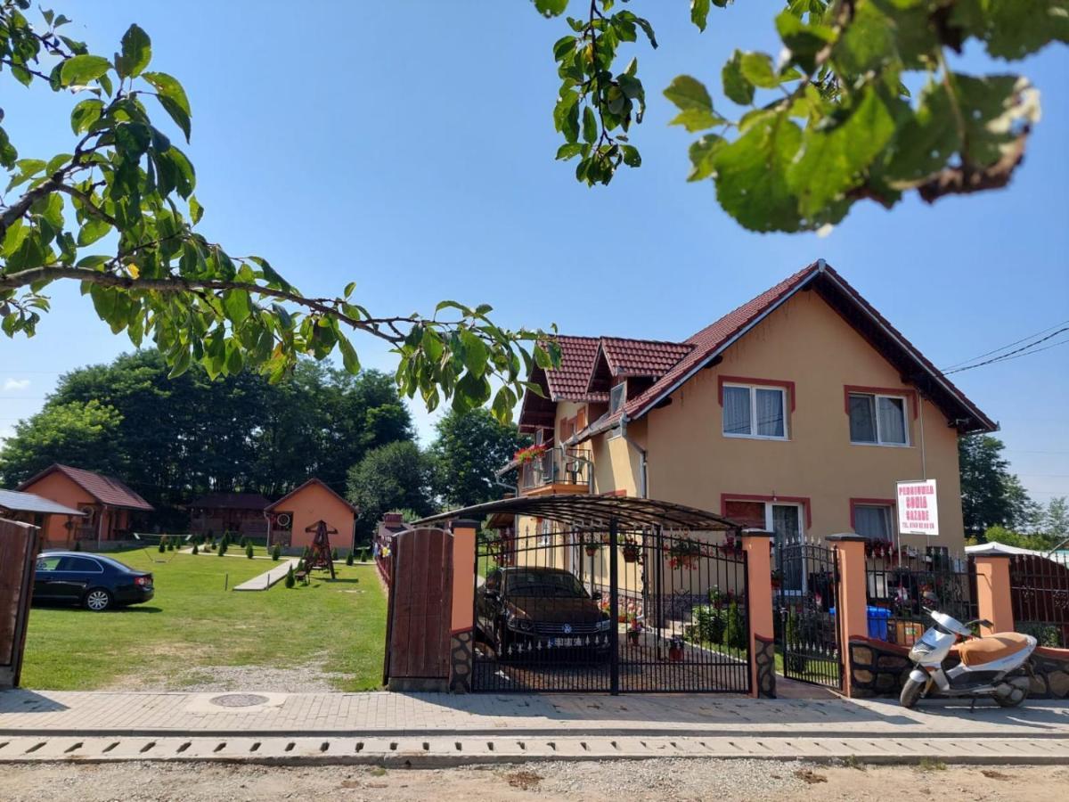 Pensiunea Sonia Cîrţişoara Buitenkant foto