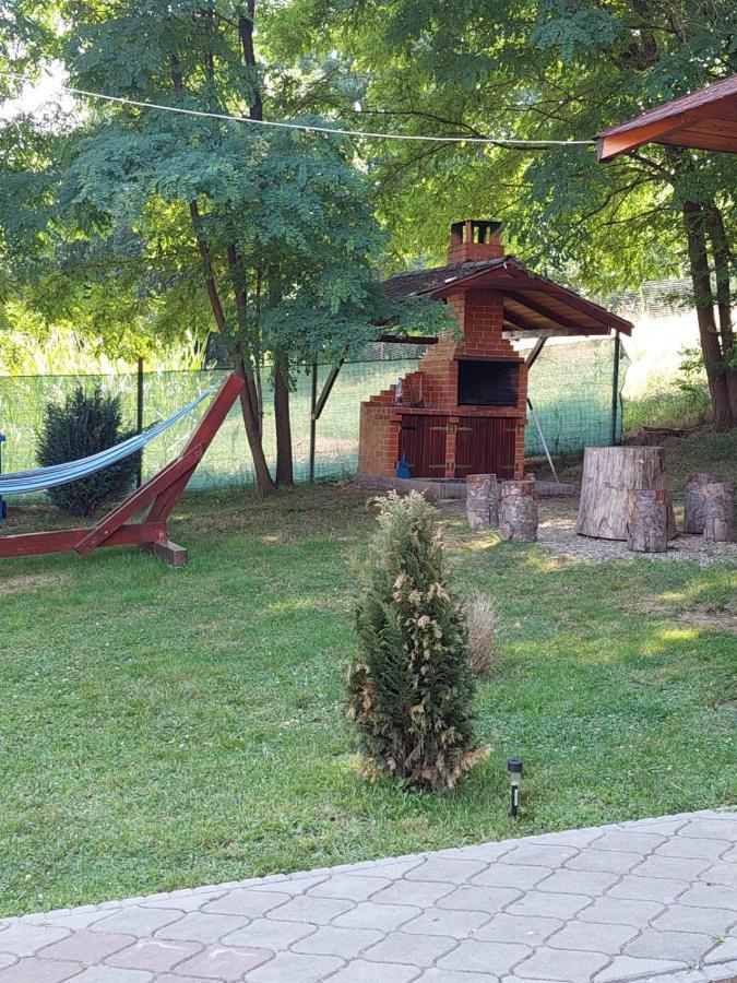 Pensiunea Sonia Cîrţişoara Buitenkant foto