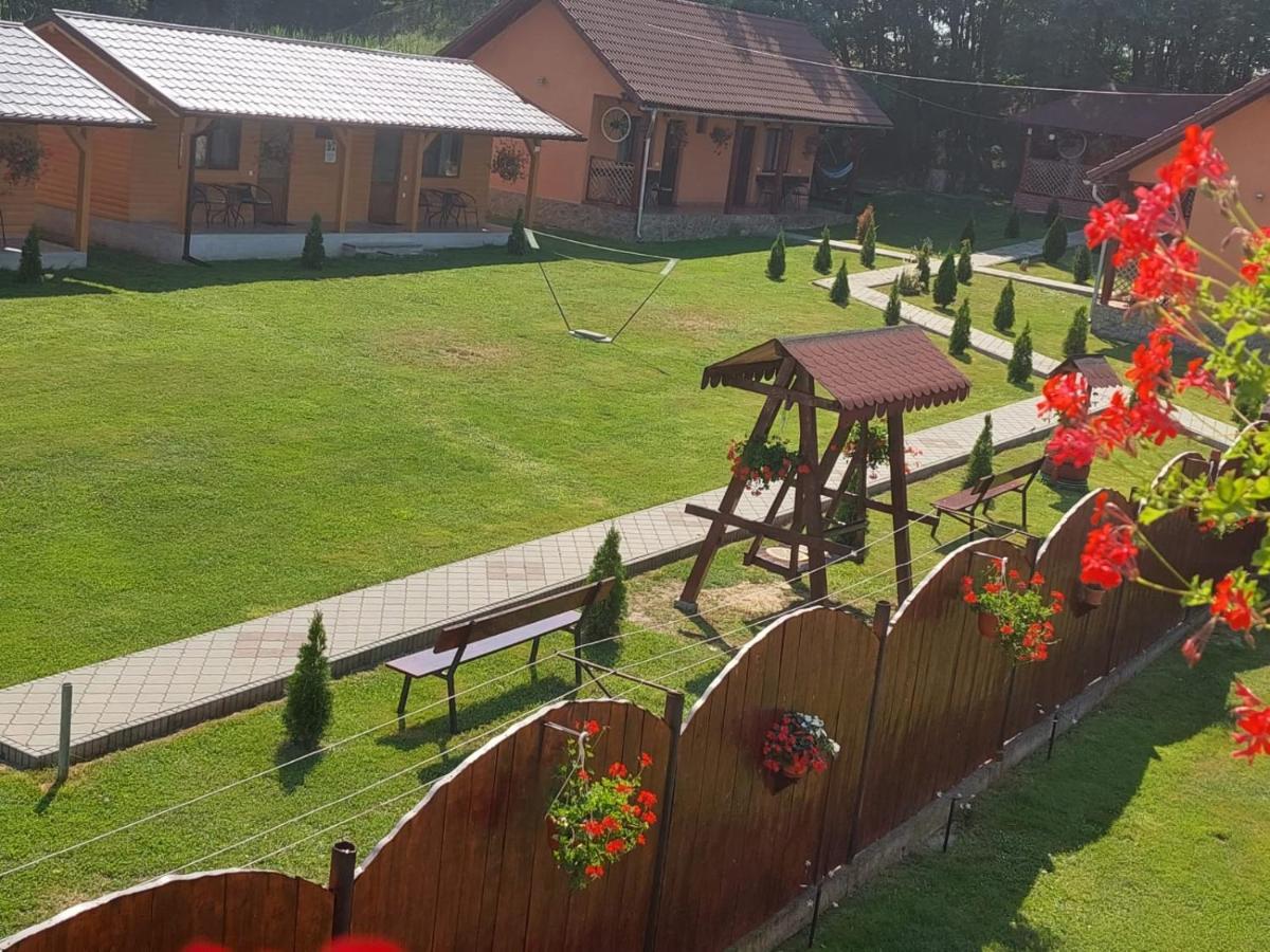Pensiunea Sonia Cîrţişoara Buitenkant foto