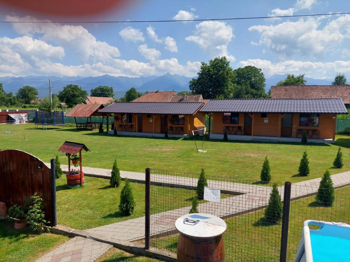 Pensiunea Sonia Cîrţişoara Buitenkant foto