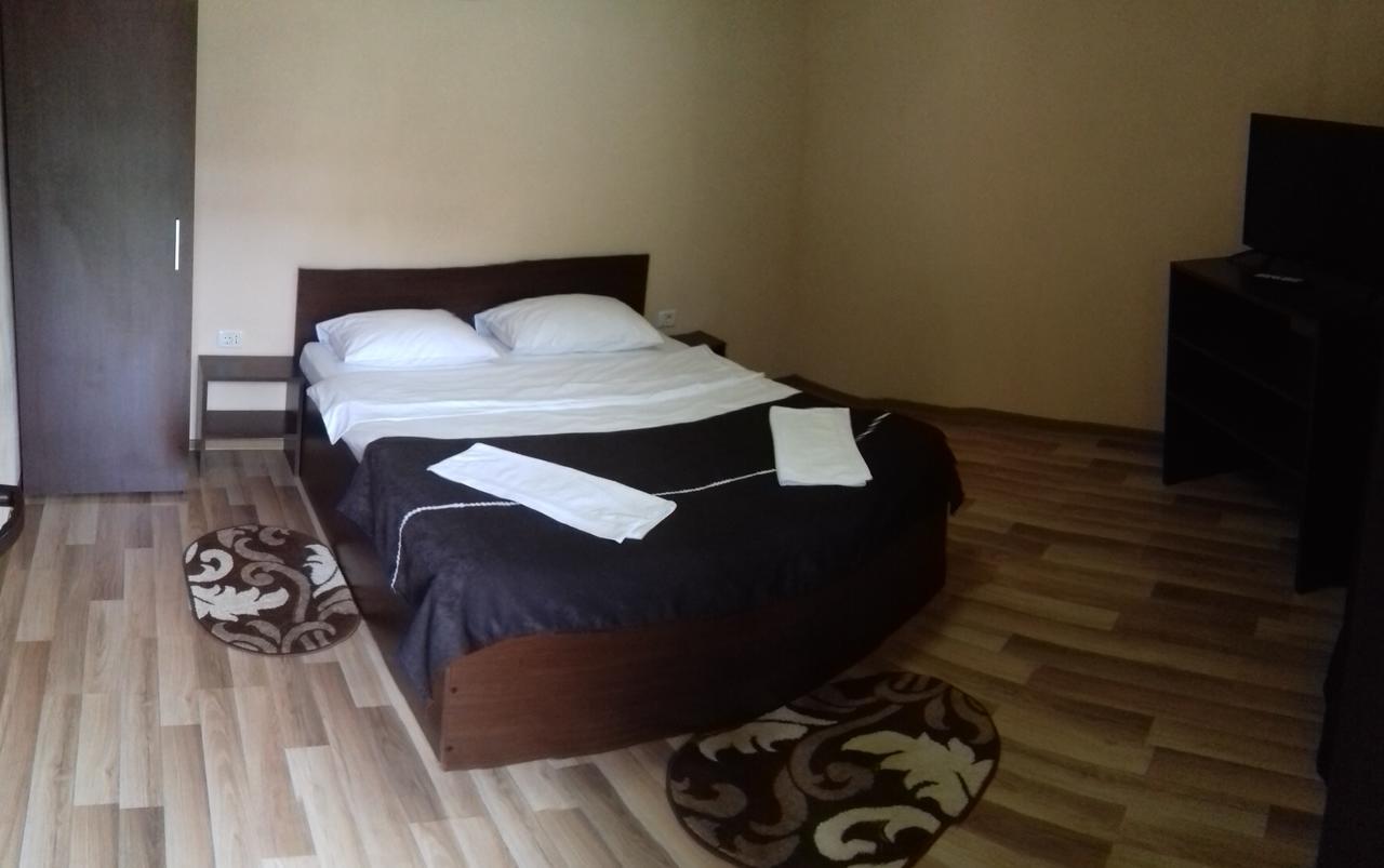 Pensiunea Sonia Cîrţişoara Buitenkant foto