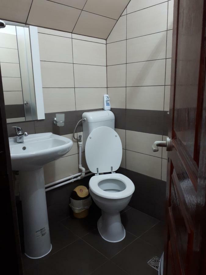 Pensiunea Sonia Cîrţişoara Buitenkant foto